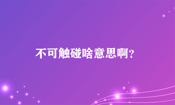 不可触碰啥意思啊？