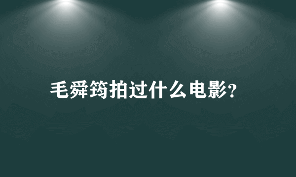 毛舜筠拍过什么电影？