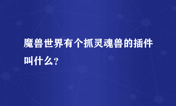 魔兽世界有个抓灵魂兽的插件叫什么？