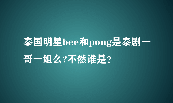 泰国明星bee和pong是泰剧一哥一姐么?不然谁是？