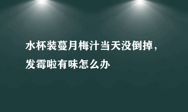 水杯装蔓月梅汁当天没倒掉，发霉啦有味怎么办