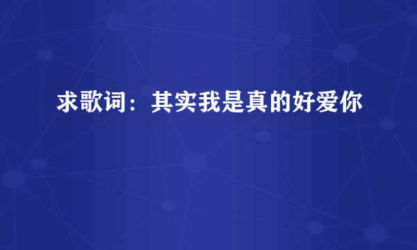 求歌词：其实我是真的好爱你