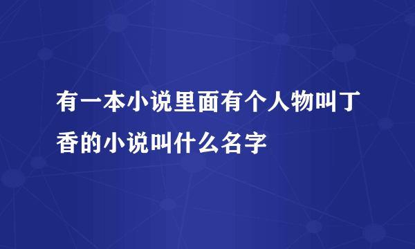 有一本小说里面有个人物叫丁香的小说叫什么名字