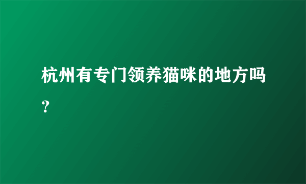 杭州有专门领养猫咪的地方吗？