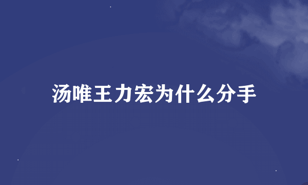 汤唯王力宏为什么分手