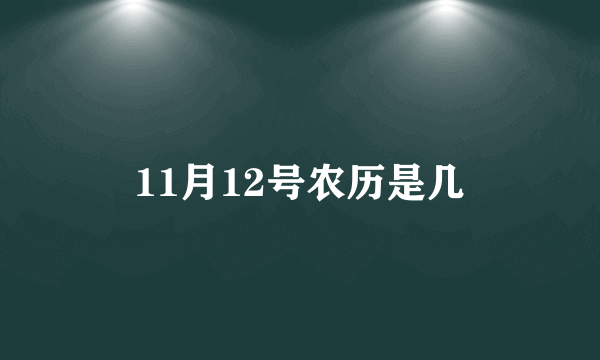 11月12号农历是几