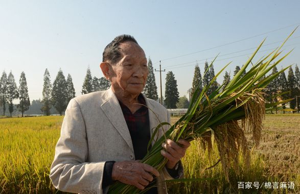 袁隆平的生平简介150字