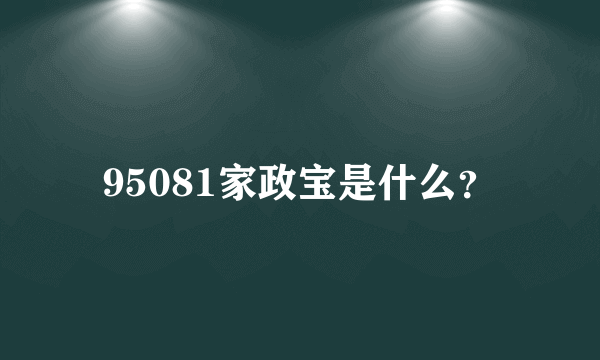 95081家政宝是什么？