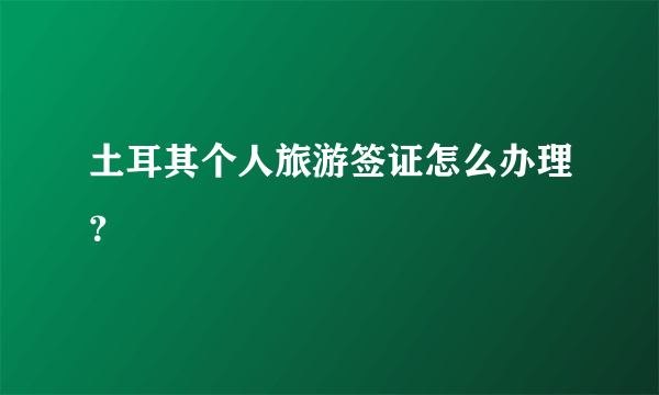 土耳其个人旅游签证怎么办理？