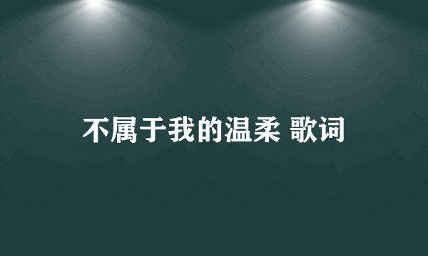 不属于我的温柔 歌词