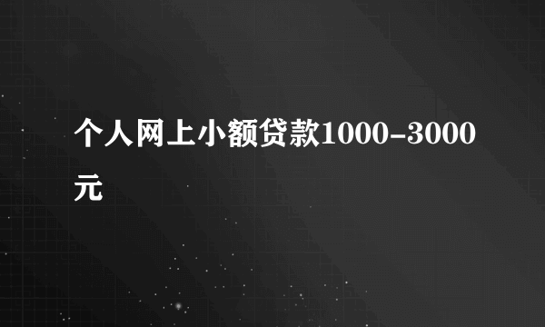 个人网上小额贷款1000-3000元