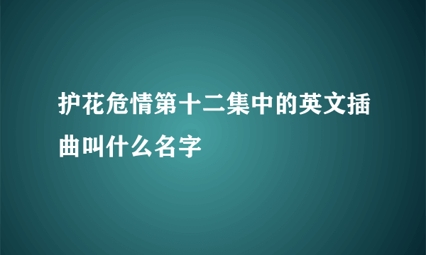 护花危情第十二集中的英文插曲叫什么名字