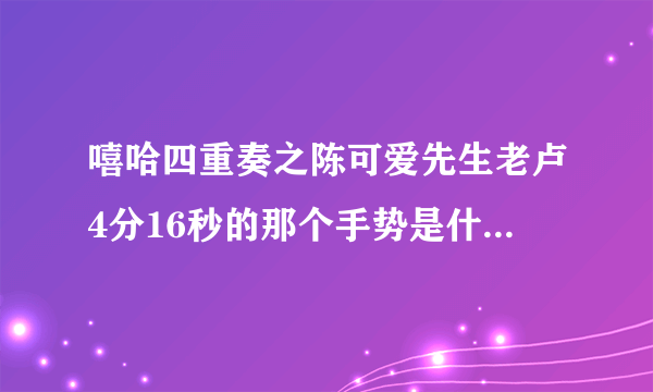 嘻哈四重奏之陈可爱先生老卢4分16秒的那个手势是什么意思？