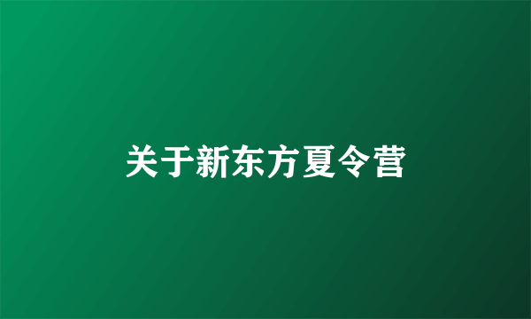 关于新东方夏令营