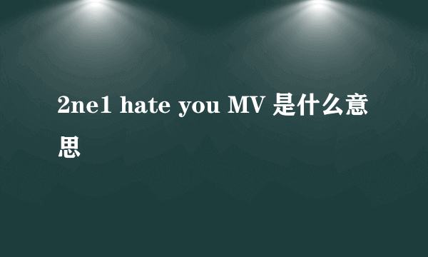 2ne1 hate you MV 是什么意思