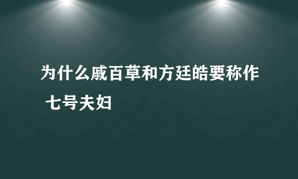 为什么戚百草和方廷皓要称作 七号夫妇