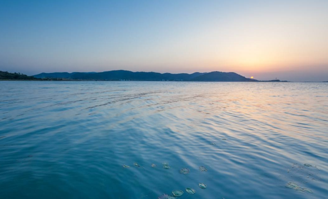 五大淡水湖 资料