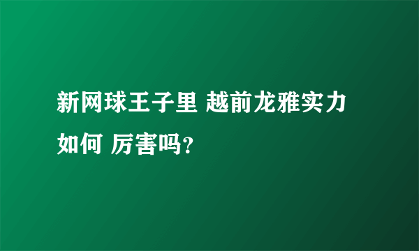 新网球王子里 越前龙雅实力如何 厉害吗？