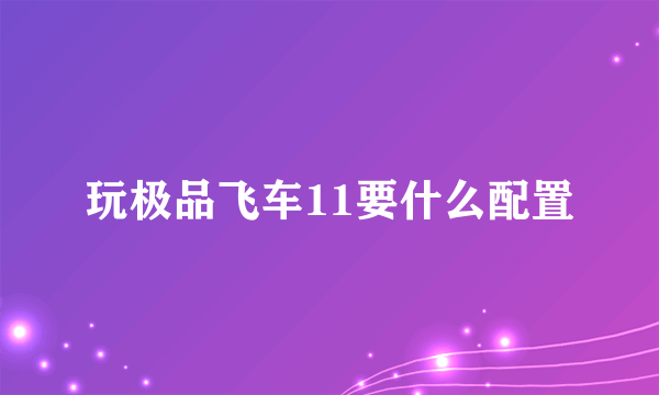 玩极品飞车11要什么配置