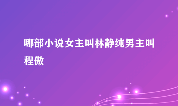 哪部小说女主叫林静纯男主叫程傲