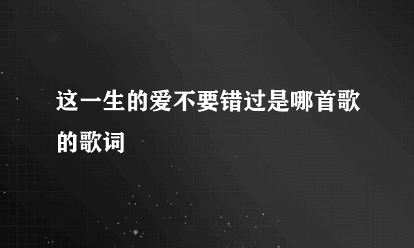 这一生的爱不要错过是哪首歌的歌词