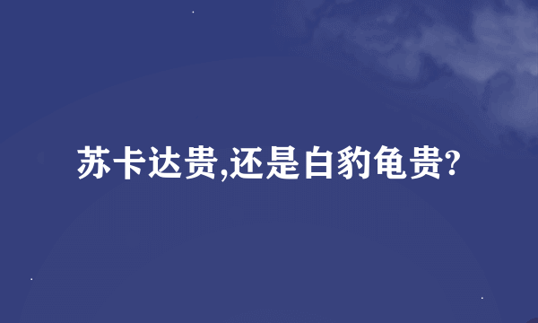 苏卡达贵,还是白豹龟贵?