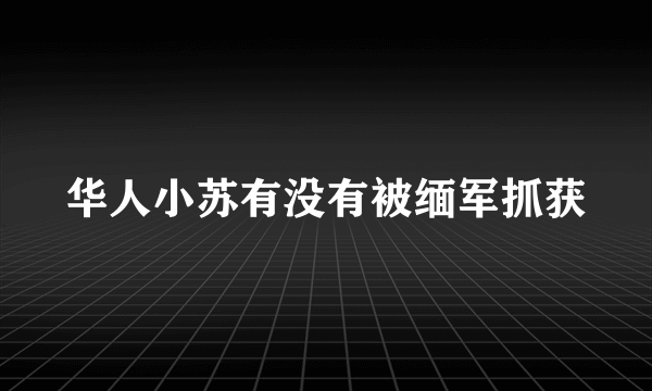 华人小苏有没有被缅军抓获