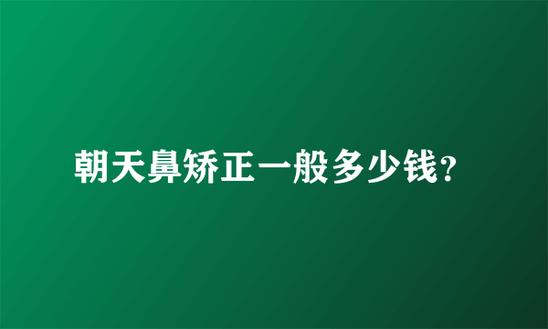 朝天鼻矫正一般多少钱？