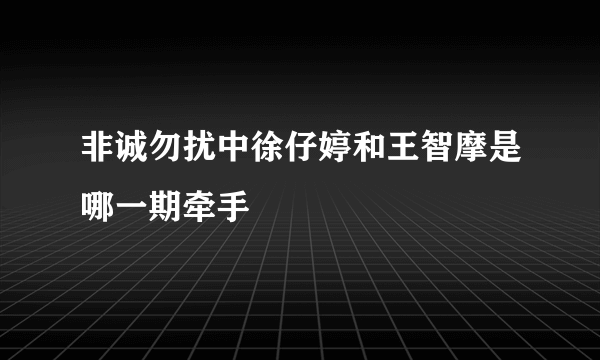 非诚勿扰中徐仔婷和王智摩是哪一期牵手