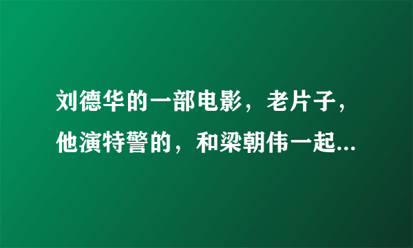 刘德华的一部电影，老片子，他演特警的，和梁朝伟一起，我看的名字是黑衣部队，真实名字是什么？