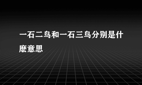 一石二鸟和一石三鸟分别是什麽意思