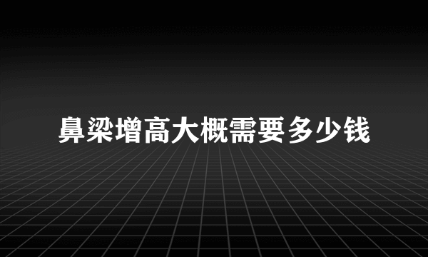 鼻梁增高大概需要多少钱