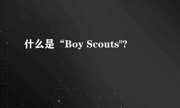 什么是“Boy Scouts