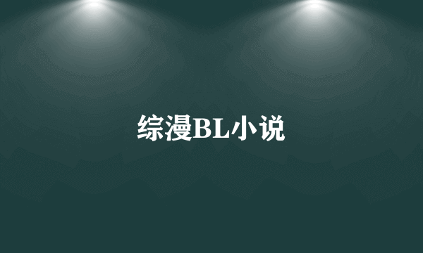 综漫BL小说