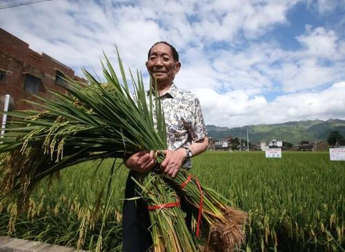 世界网友悼念袁隆平，各国人民都是怎么悼念的？