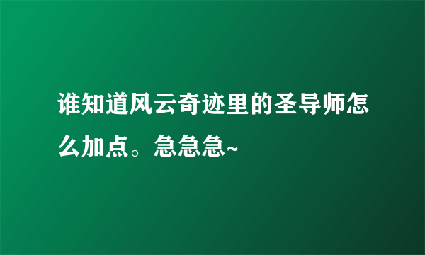 谁知道风云奇迹里的圣导师怎么加点。急急急~