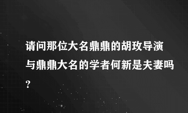 请问那位大名鼎鼎的胡玫导演与鼎鼎大名的学者何新是夫妻吗？