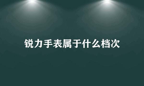 锐力手表属于什么档次