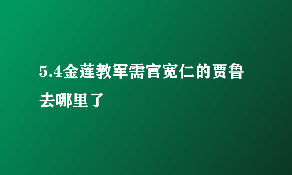 5.4金莲教军需官宽仁的贾鲁去哪里了