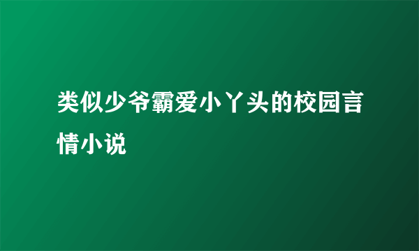 类似少爷霸爱小丫头的校园言情小说