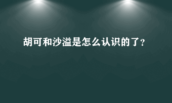 胡可和沙溢是怎么认识的了？