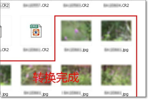 怎么把cr2格式批量转换成jpg格式