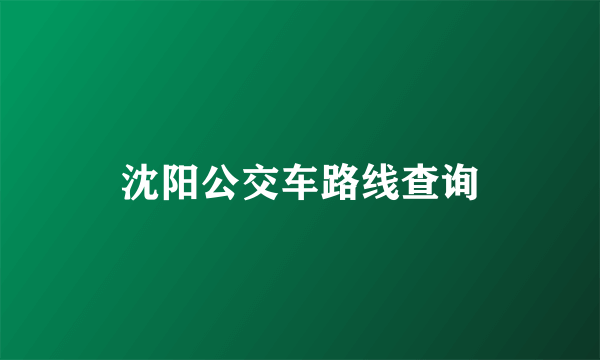 沈阳公交车路线查询