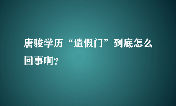 唐骏学历“造假门”到底怎么回事啊？