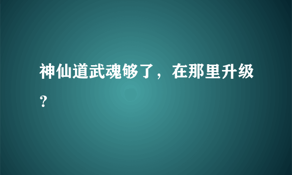 神仙道武魂够了，在那里升级？