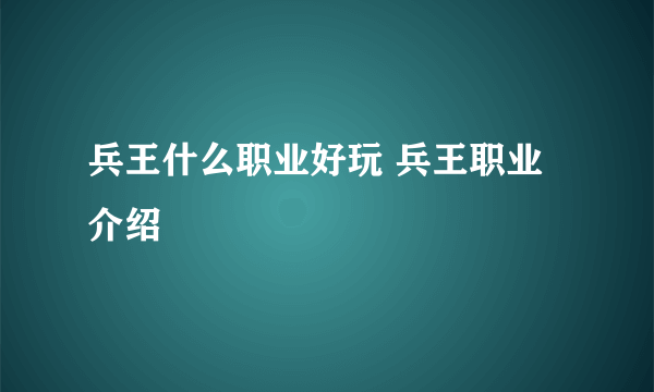 兵王什么职业好玩 兵王职业介绍