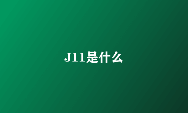 J11是什么