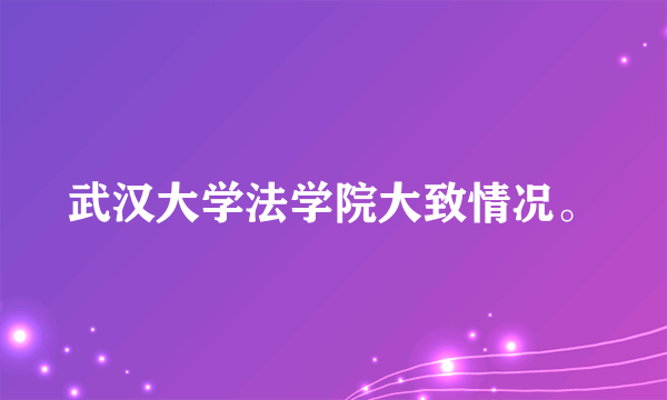 武汉大学法学院大致情况。