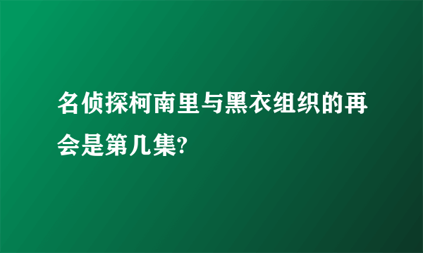 名侦探柯南里与黑衣组织的再会是第几集?