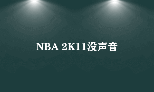 NBA 2K11没声音